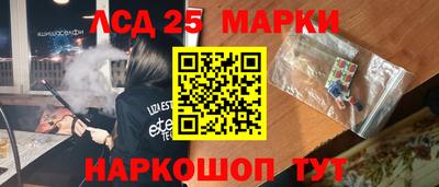 шишки Донской
