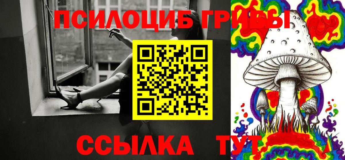 как найти   Псилоцибиновые грибы Psilocybe  Вход с VPN  Мценск 