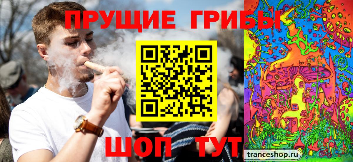 Псилоцибиновые грибы ЛСД Мценск